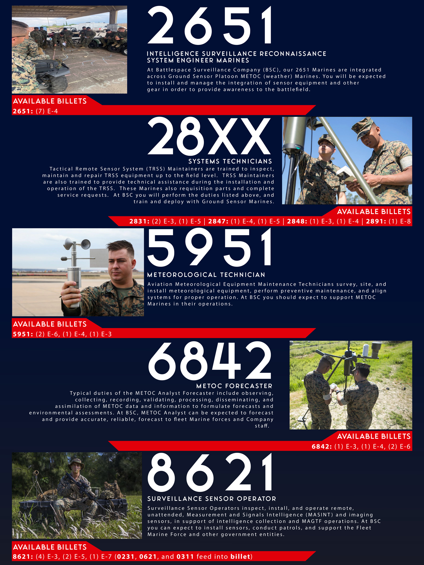 Battlespace Surveillance Company